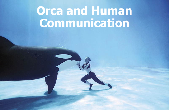 orca-communication