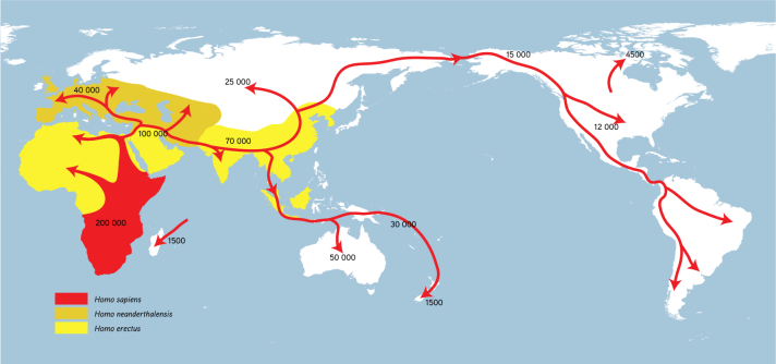 map-of-human-migrations-1